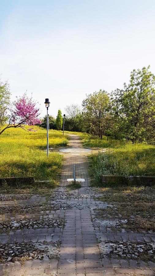 Casarava Sul Parco 3 Camere 2 Bagni Riccione Dış mekan fotoğraf